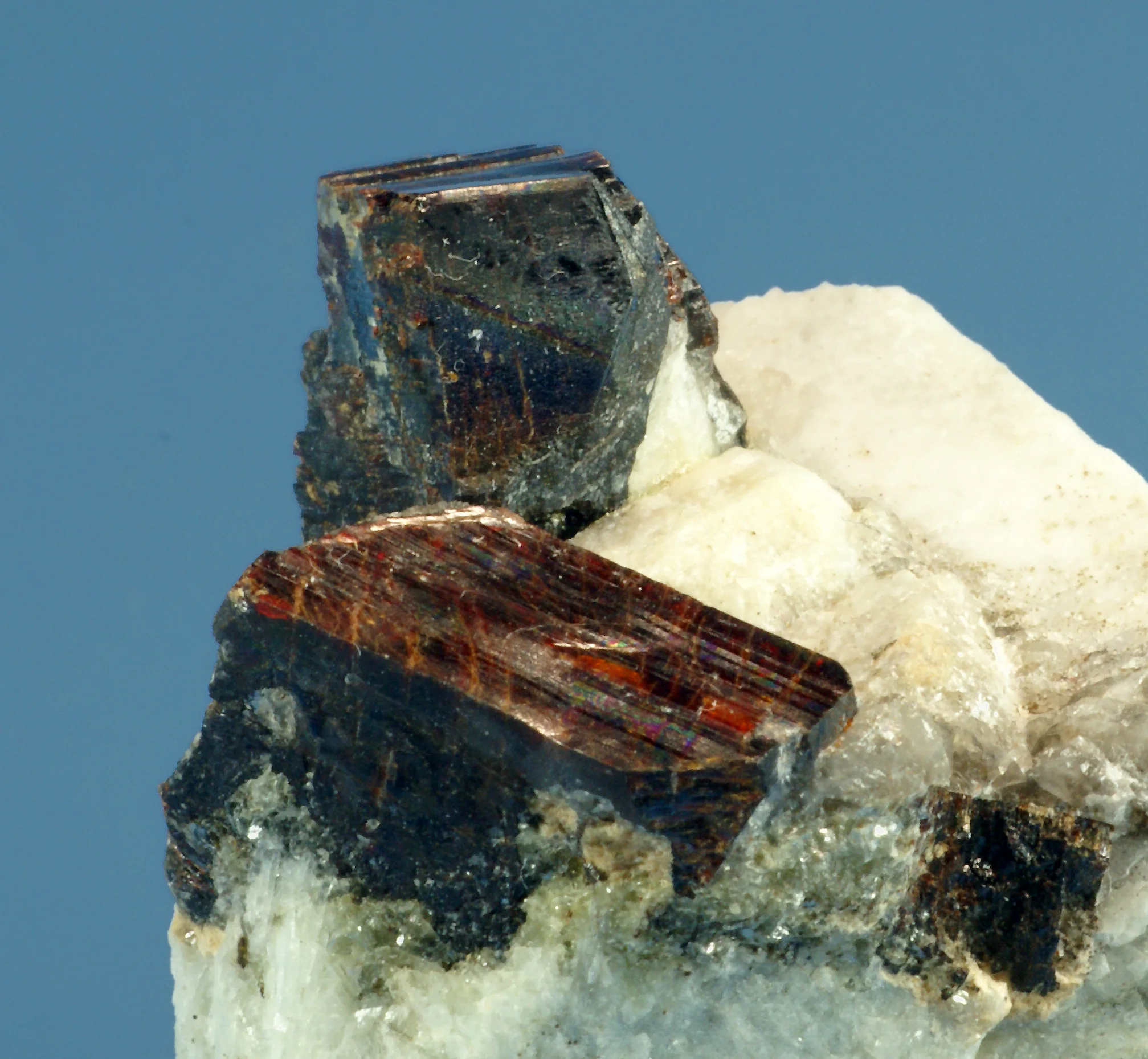 Manganotantalite xls. (Ottens book p. 507)