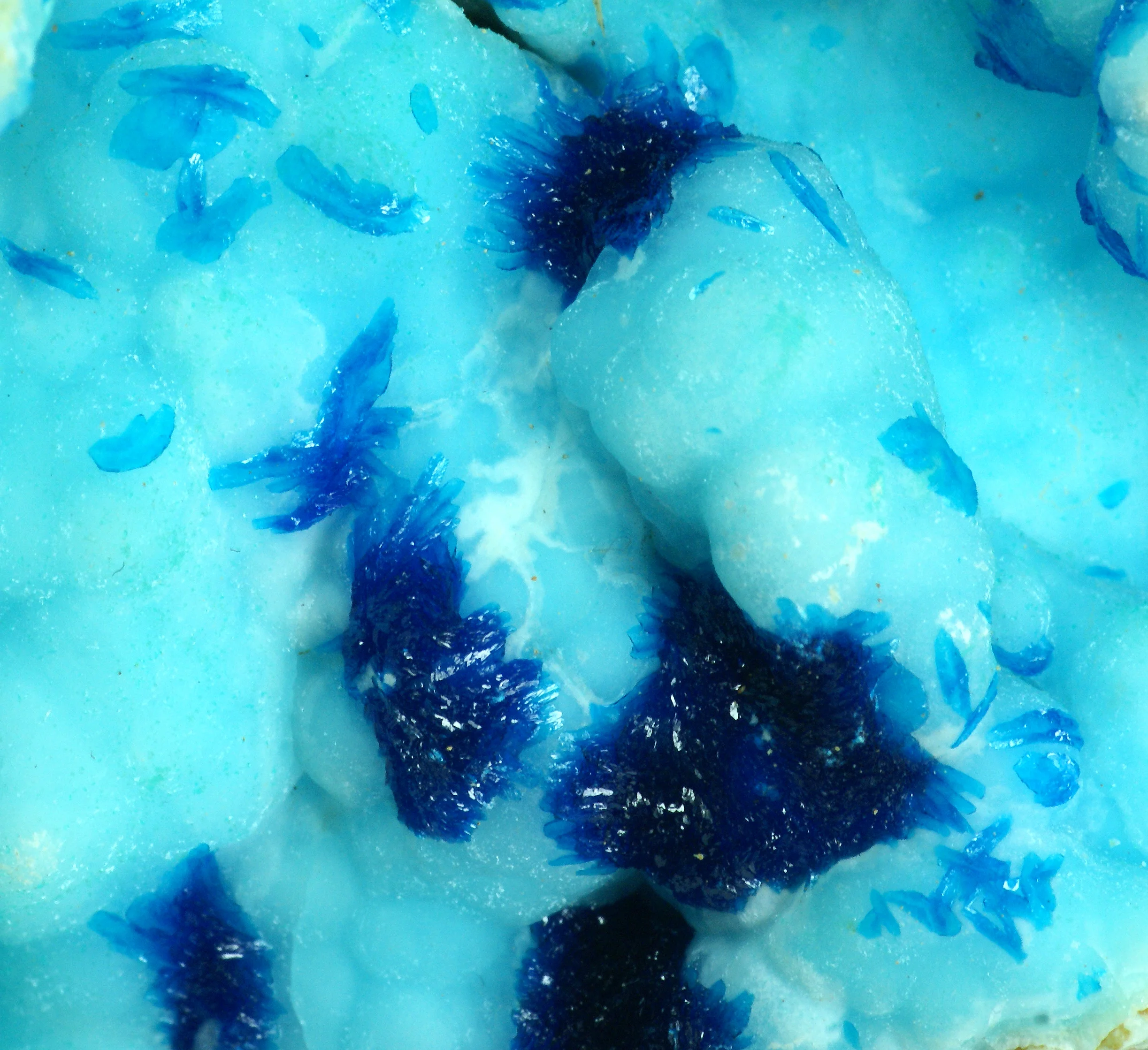 Veszelyite xls. on Hemimorphite (Ottens book p. 529)