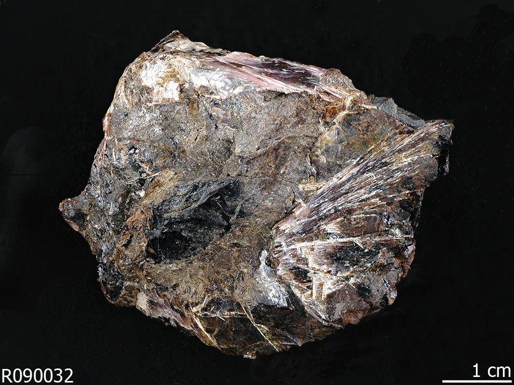 Yangite Holotype specimen