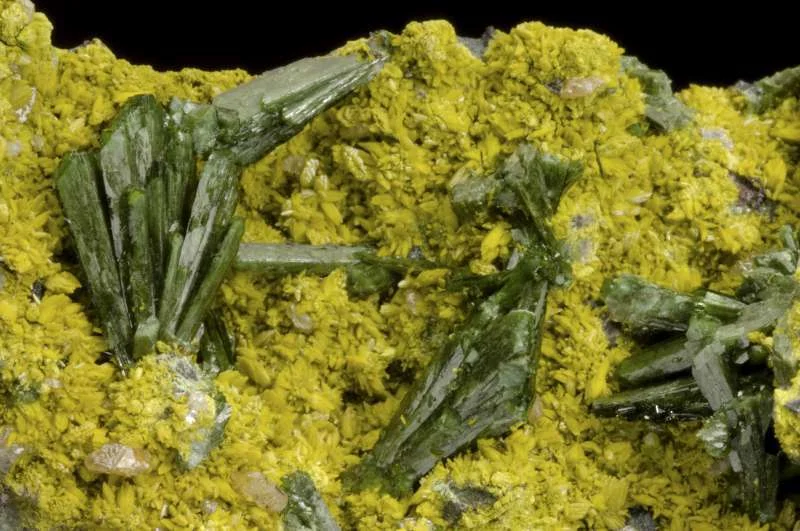 Olivenite xls. on Tsumcorite xls.