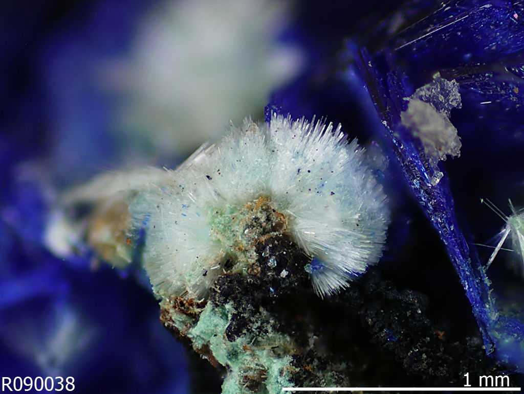 Dundasite xls. with Azurite