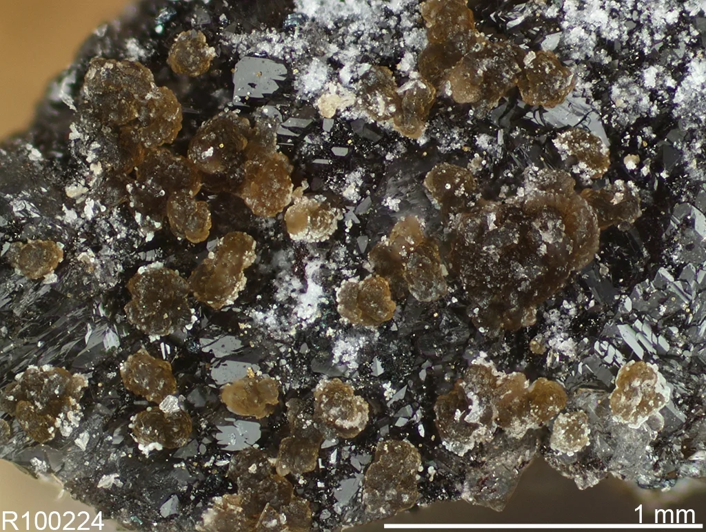 Gerdtremmelite xled brown balls part of Holotype spec.