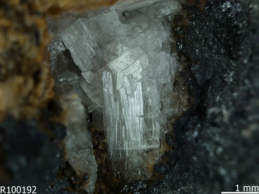 Zincroselite xls. (Holotype specimen)