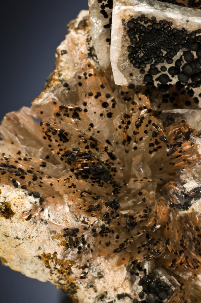 Alamosite xls. & Melanotekite on Anglesite
