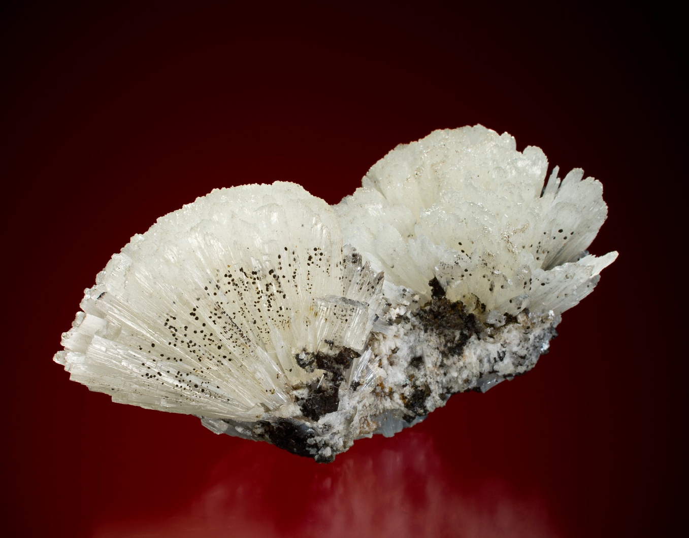 Alamosite xls (now in Canadian Museum of Nature)