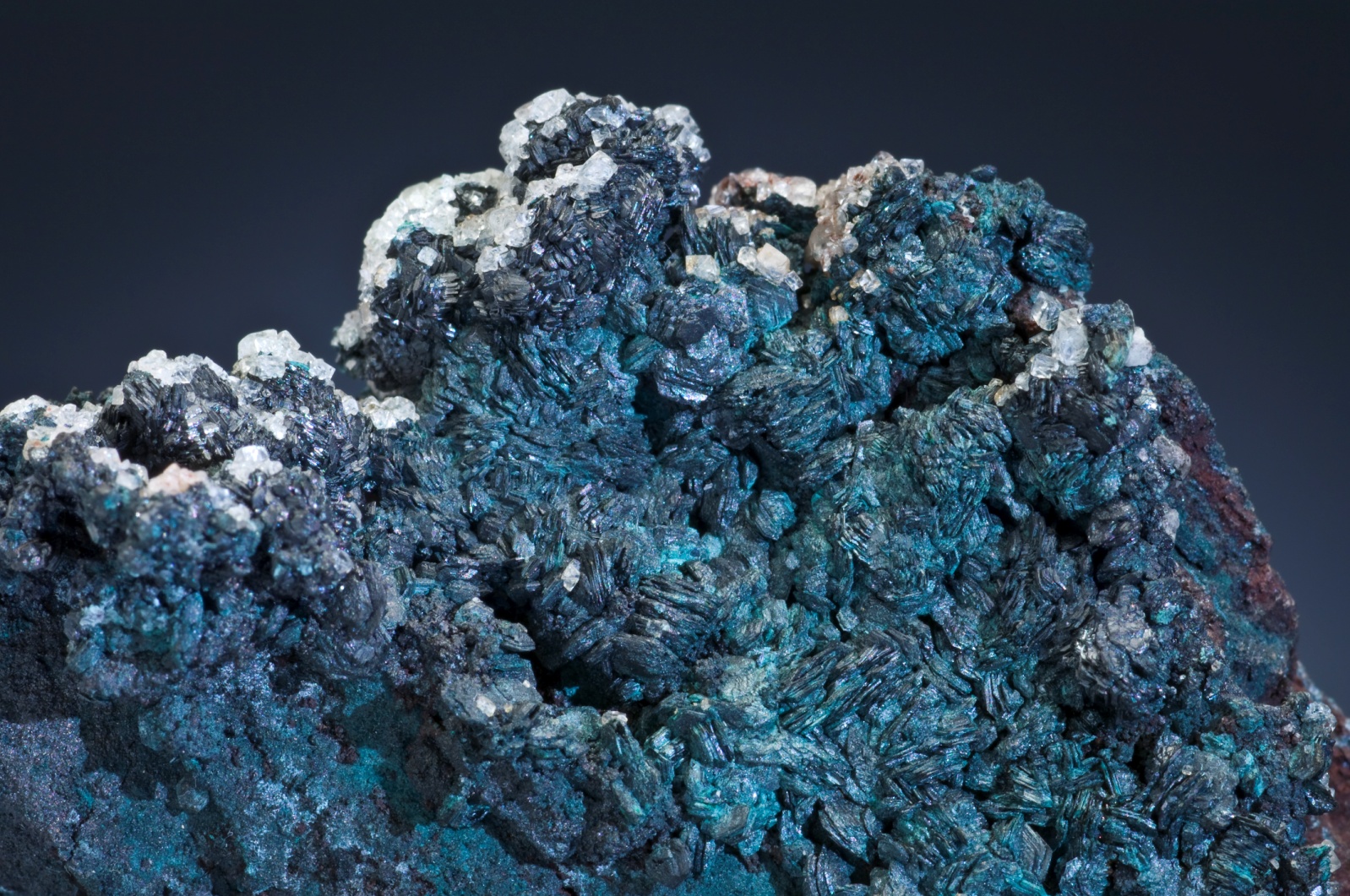 Covellite xls.
