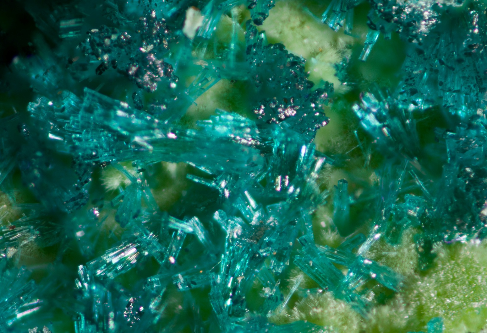 Rosasite xls (closeup) finest ever found