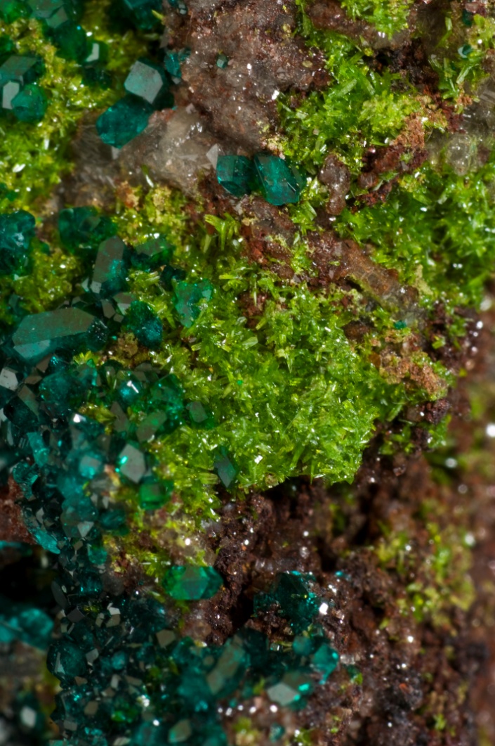 Molybdofornacite xls on Dioptase xls - John Innes coll.