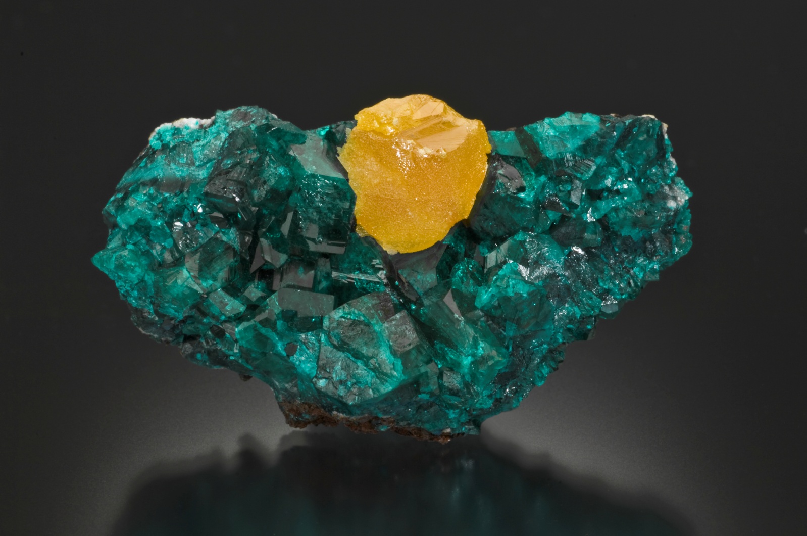 Wulfenite xl on Dioptase xls