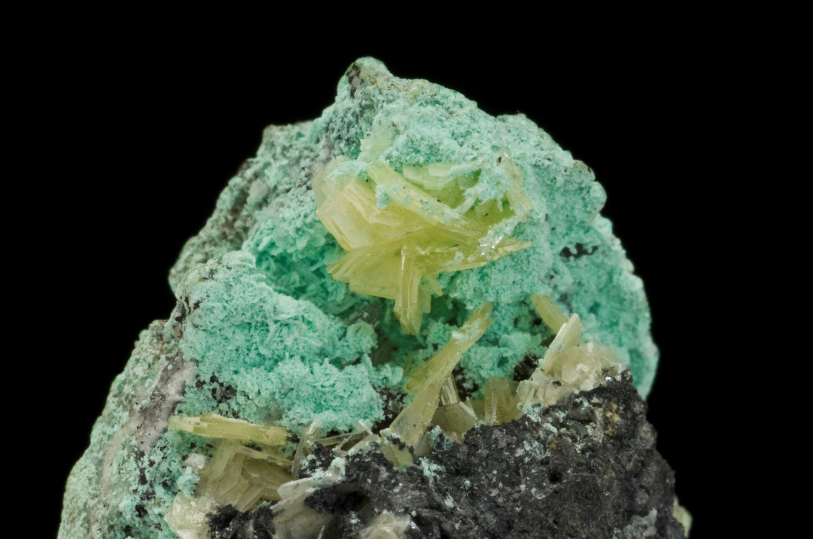 Vanackerite xls. on Thometzekite
