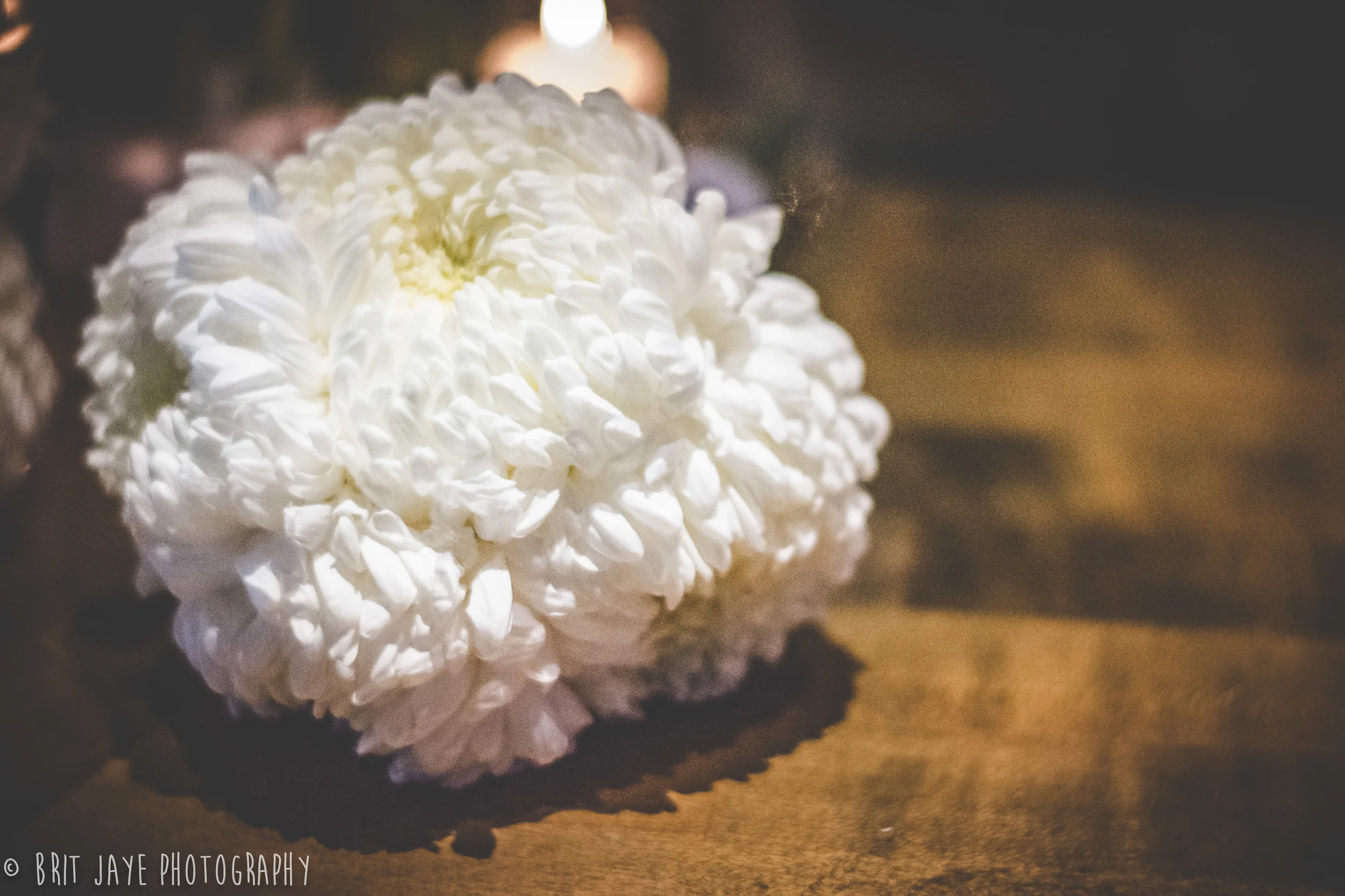 SmallBeachWeddingSanDiego-6-2.jpg
