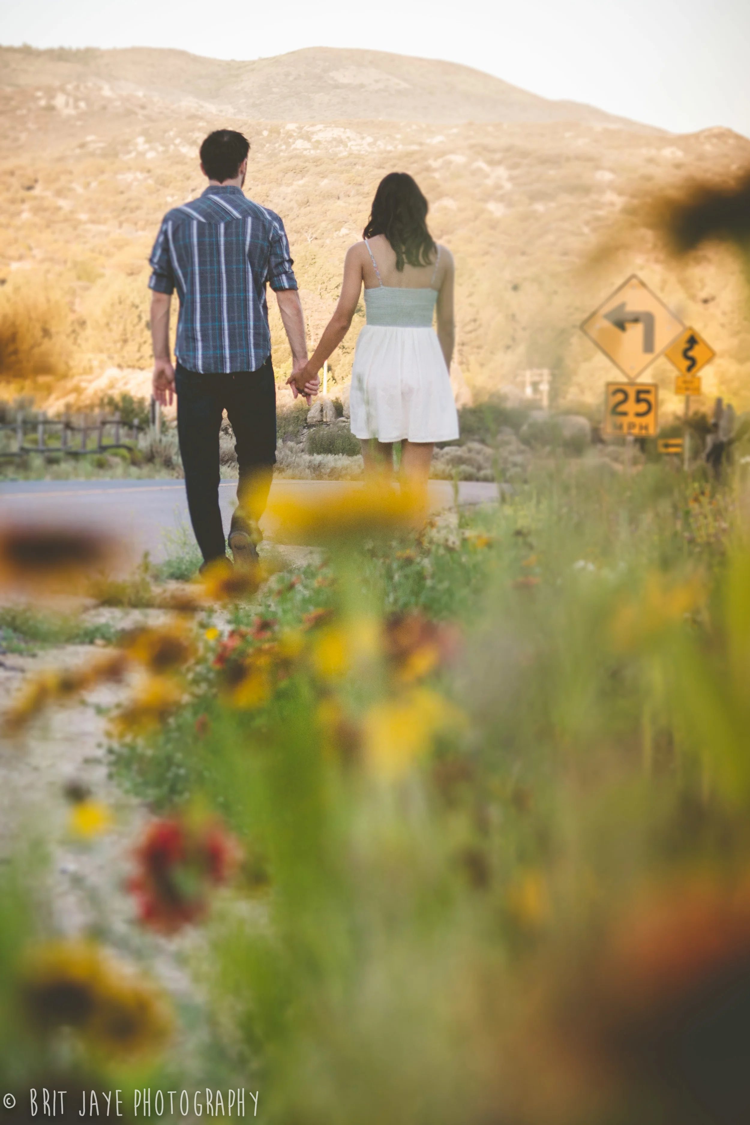 PineValleyWildernessEngagementPhotoSanDiego-31.jpg