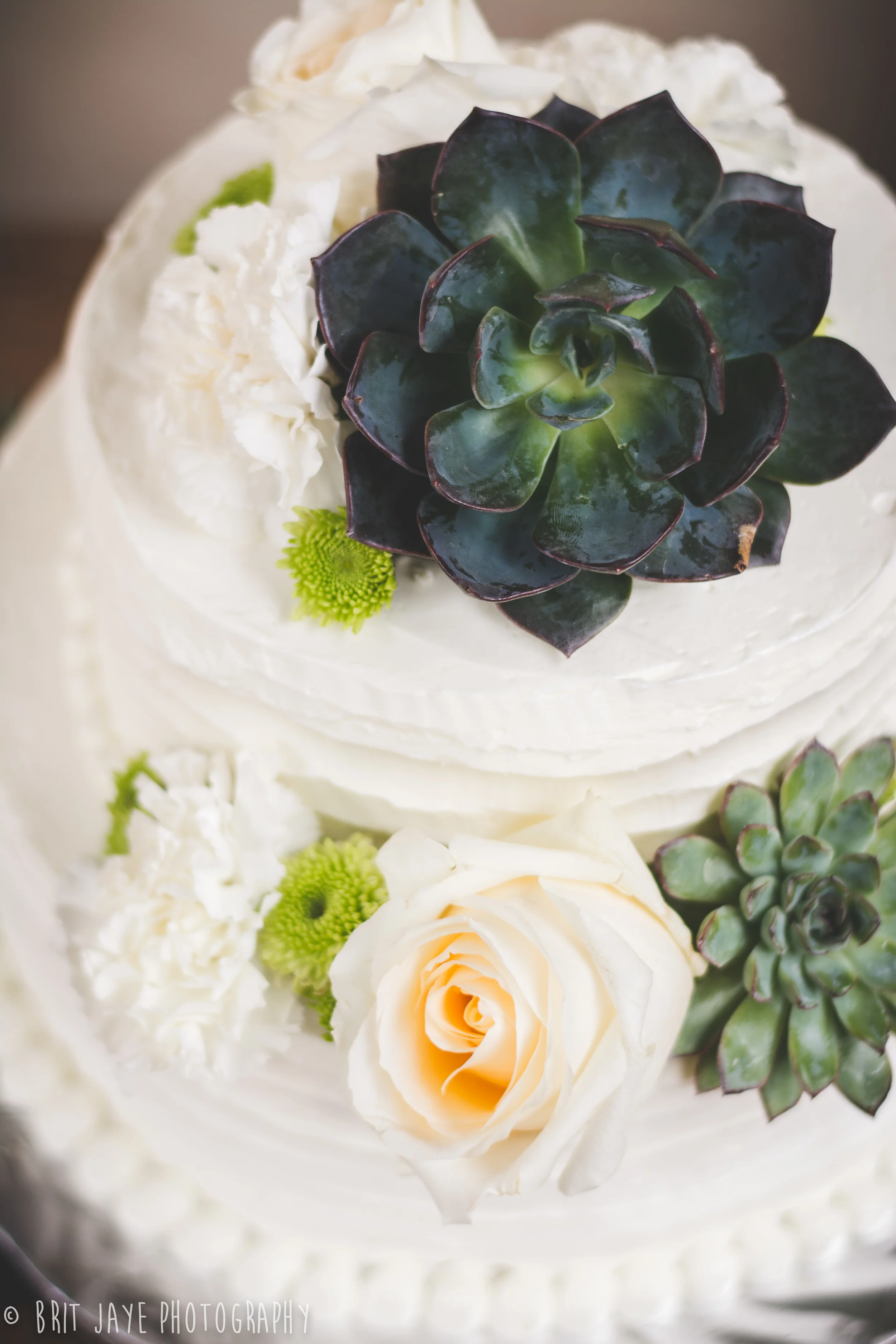OceanBeachWEdding-36.jpg