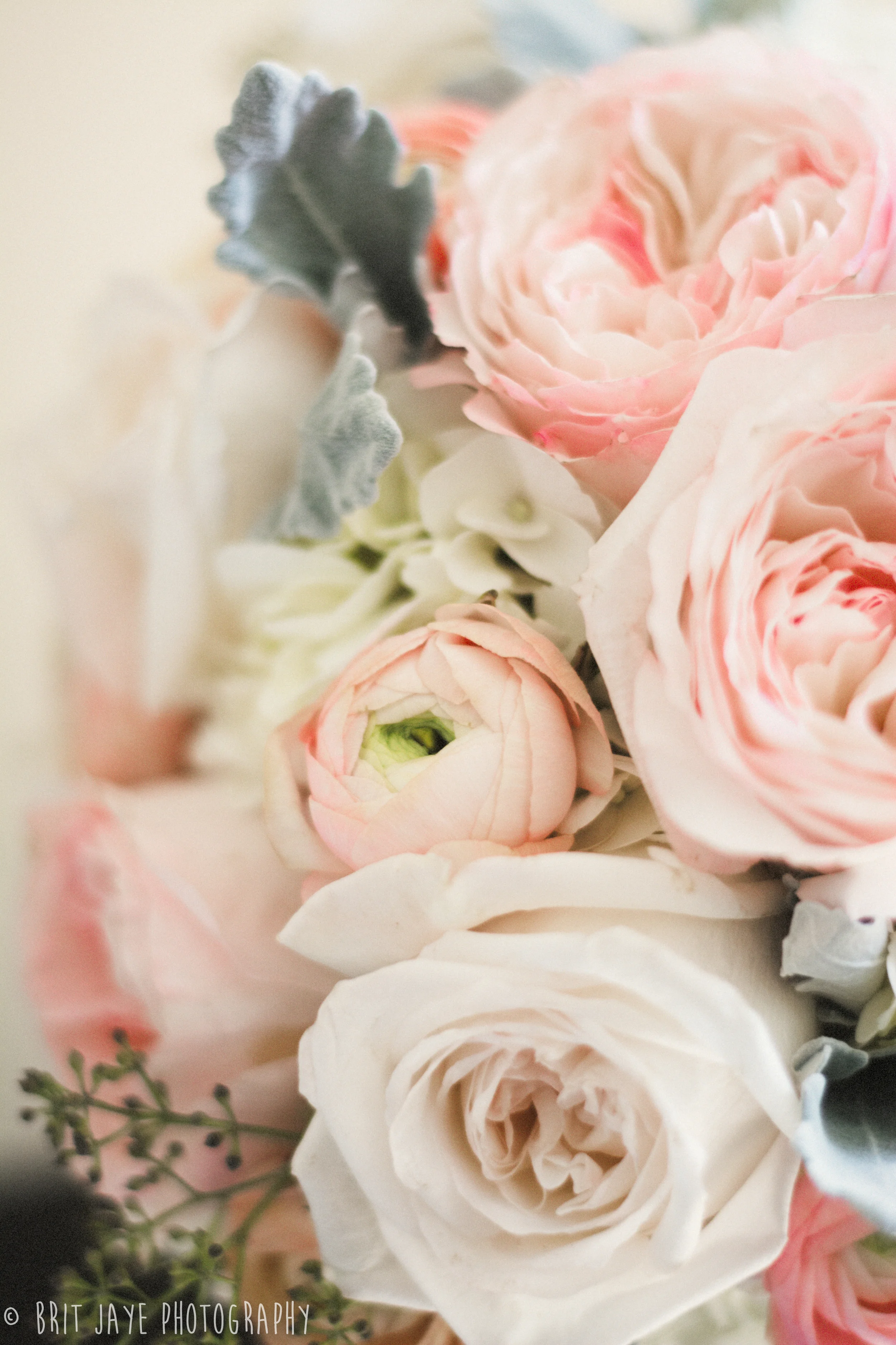IntimateLagunaBeachWedding-91.jpg