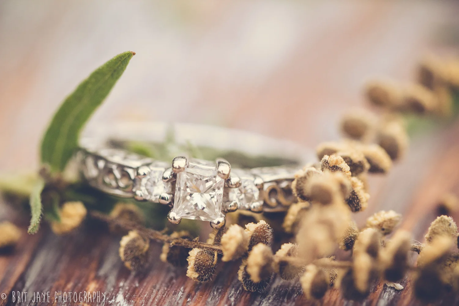 SanDiegoweddingphotographyringphoto.jpeg