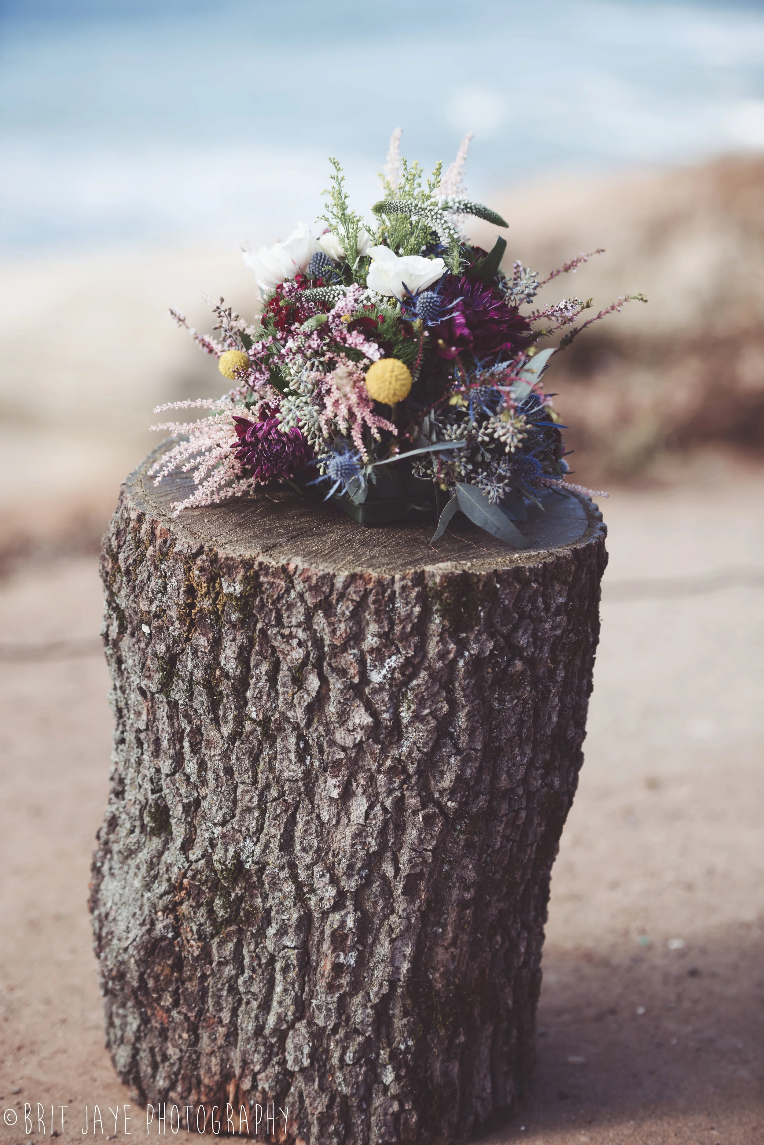 Brit_Jaye_Photography_Sunset_Cliffs_Wedding_San_Diego-42.jpg
