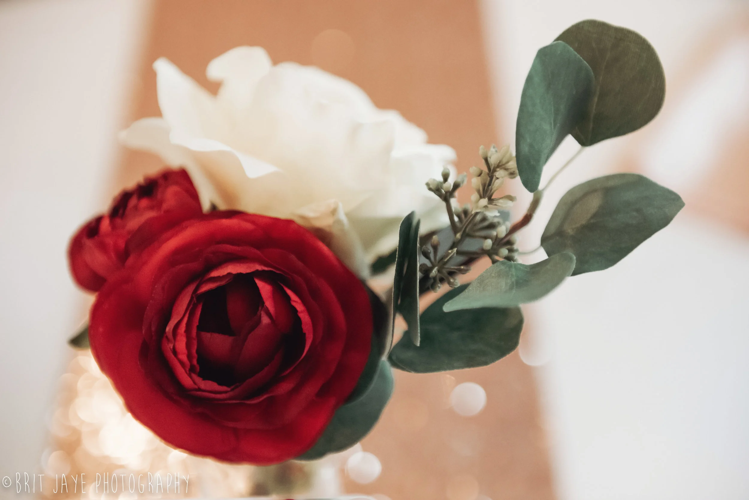 Polen_Farm_wedding_Dayton_Ohio-36.jpg