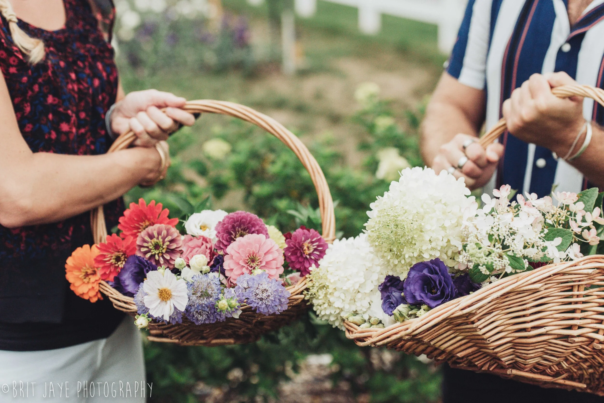 The Marmalade Lily Flower Bar & Farm Tour in the Fields Event — Ohio