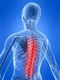 back.jpg
