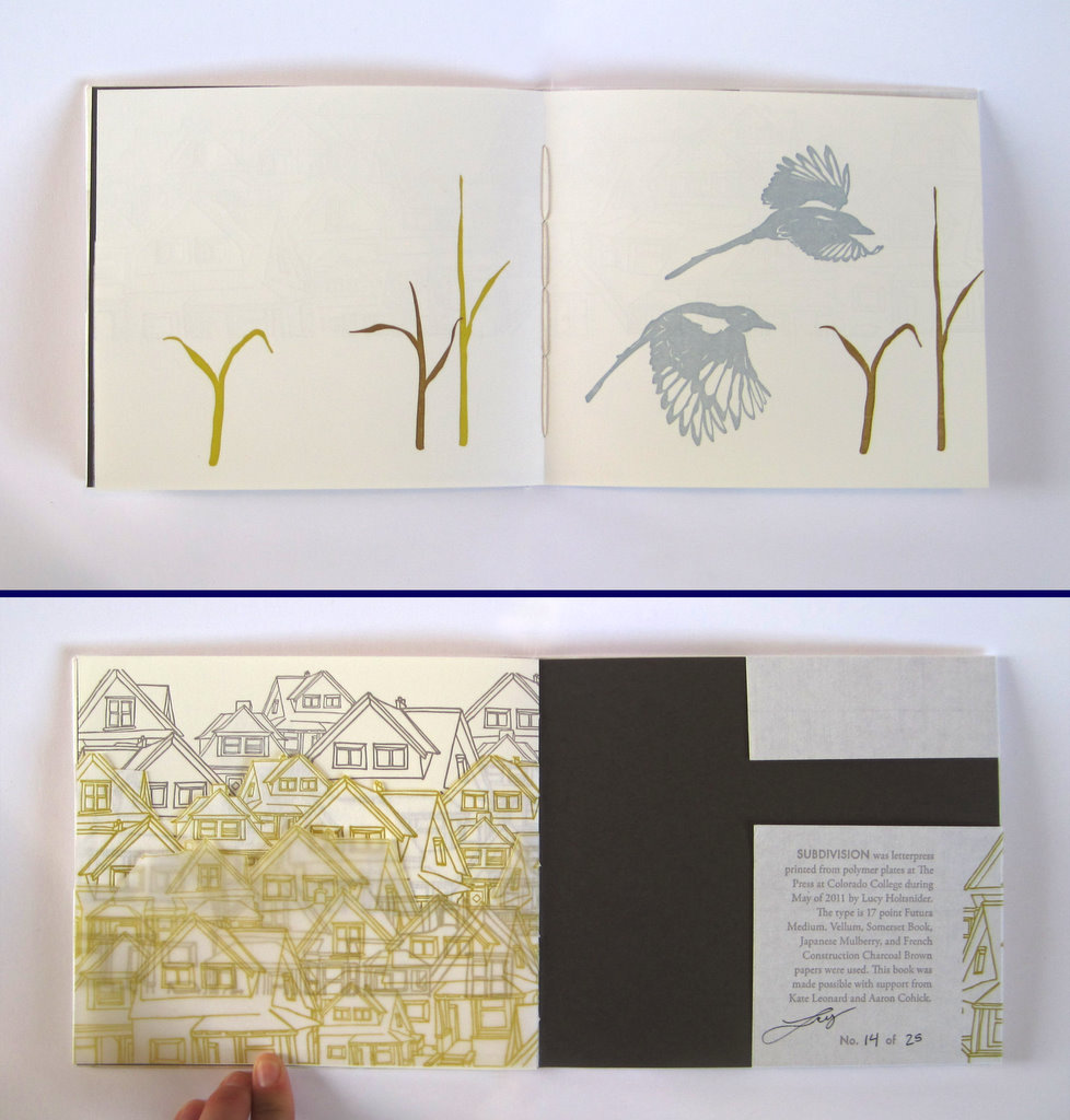 Pages of Subdivision