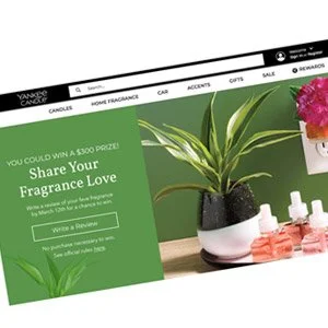 Web-Design2.jpg