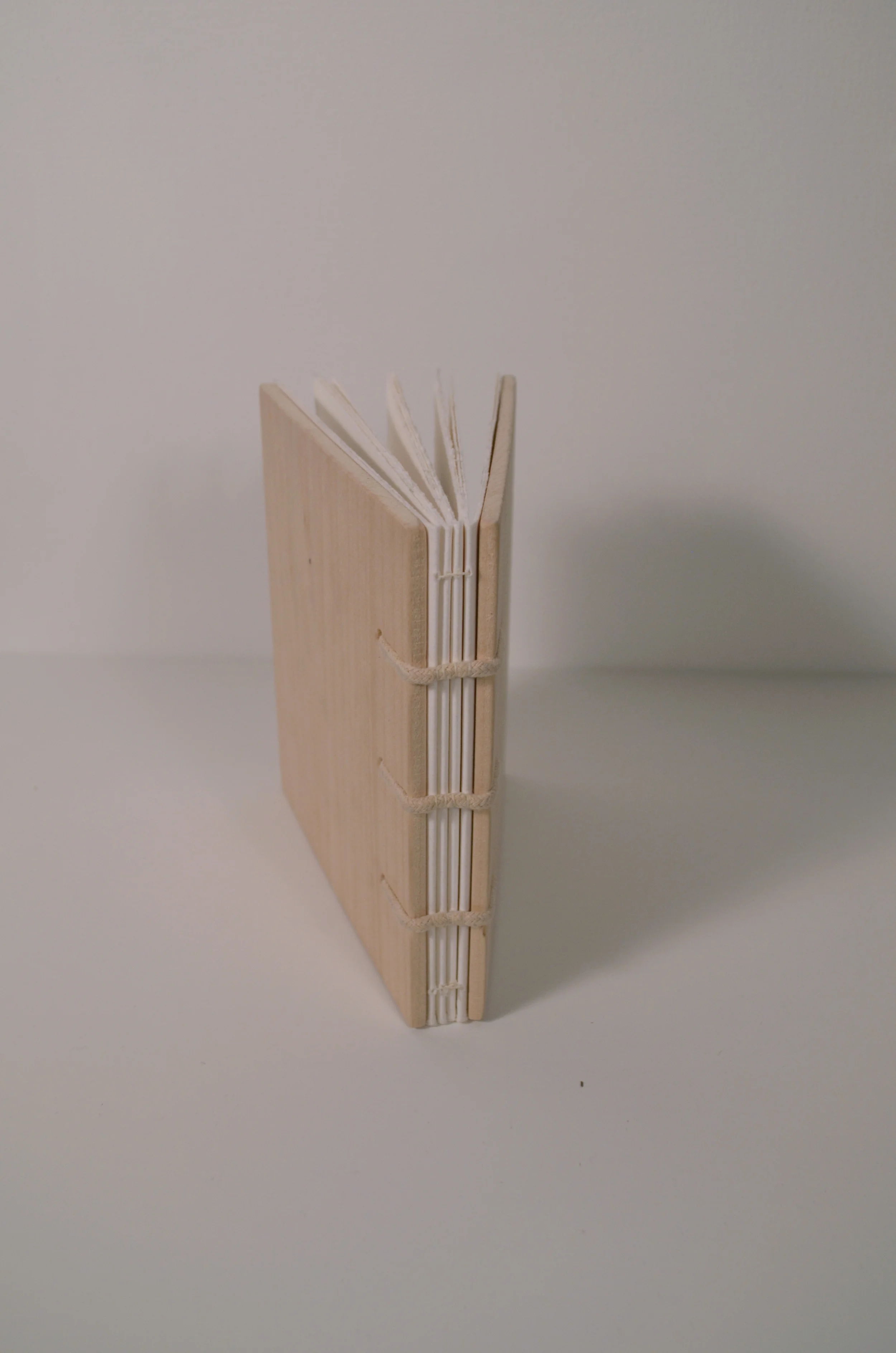 Calendula 36-page book of relief & letterpress prints on Rives BFK paper. Bound with cotton cord and wood covers. 2014