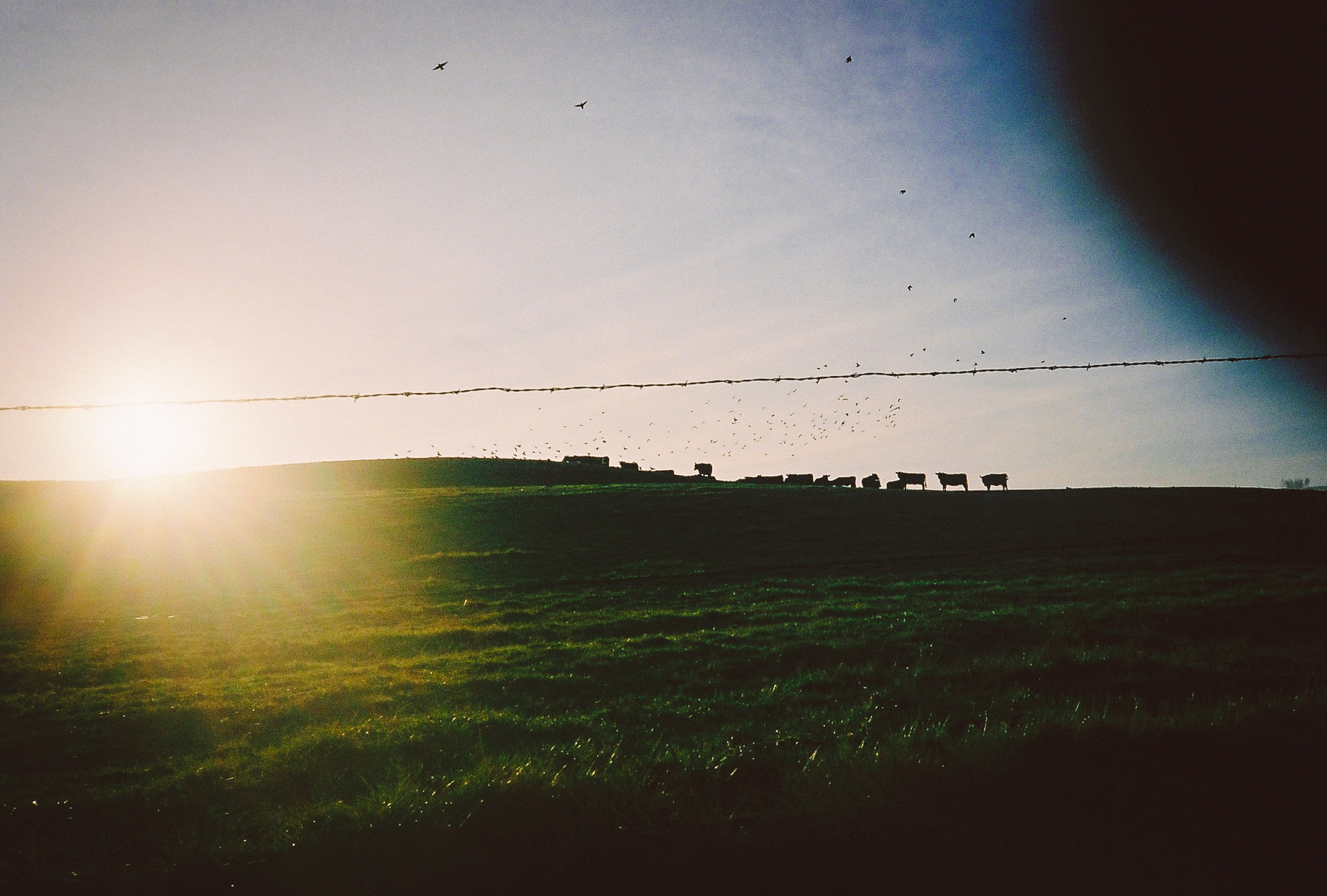 A503428-R1-22-15.jpg