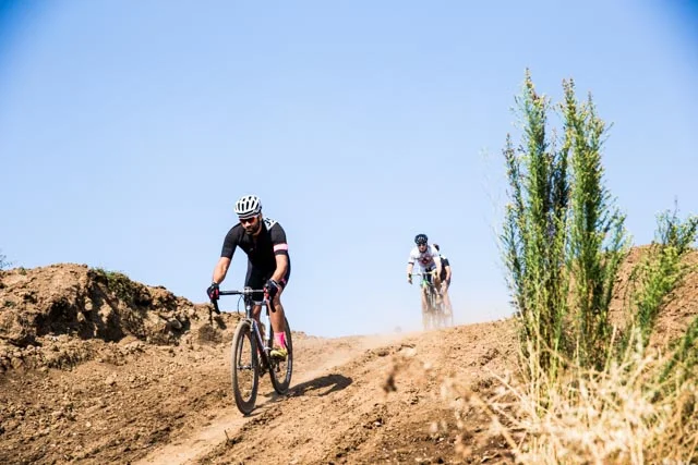 Tabby_FazioFarm_Curtes_2349.jpg