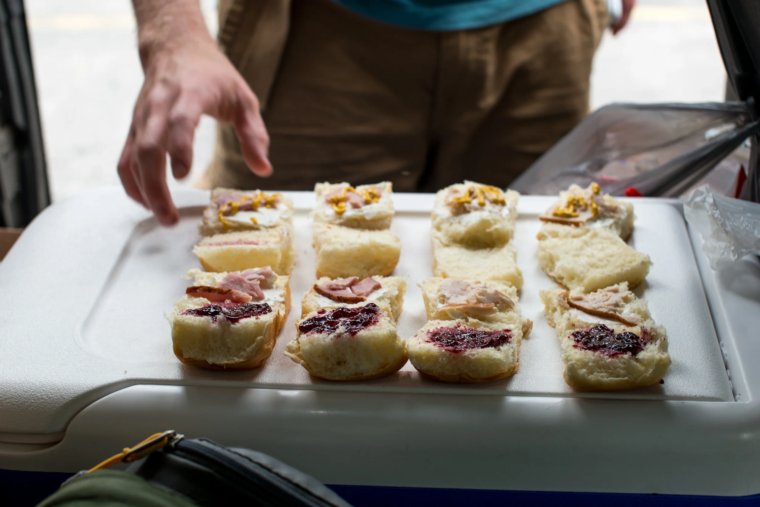 The Skratch Labs sandwiches. Four of these every forty miles please.