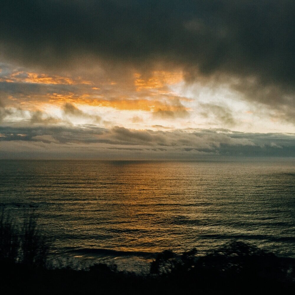 image-asset+%282%29.jpg