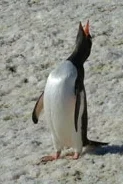 P1100015.jpg