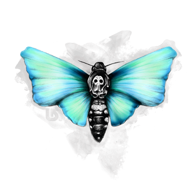 Burton-Moth.gif