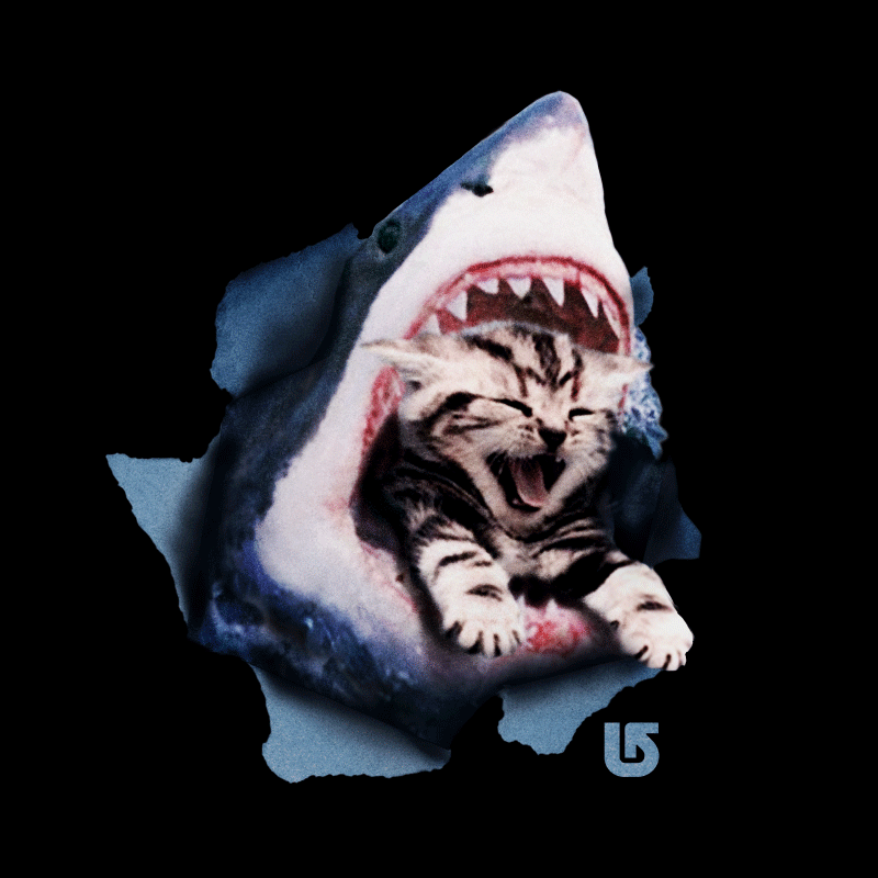 Burton-PussyShark.gif
