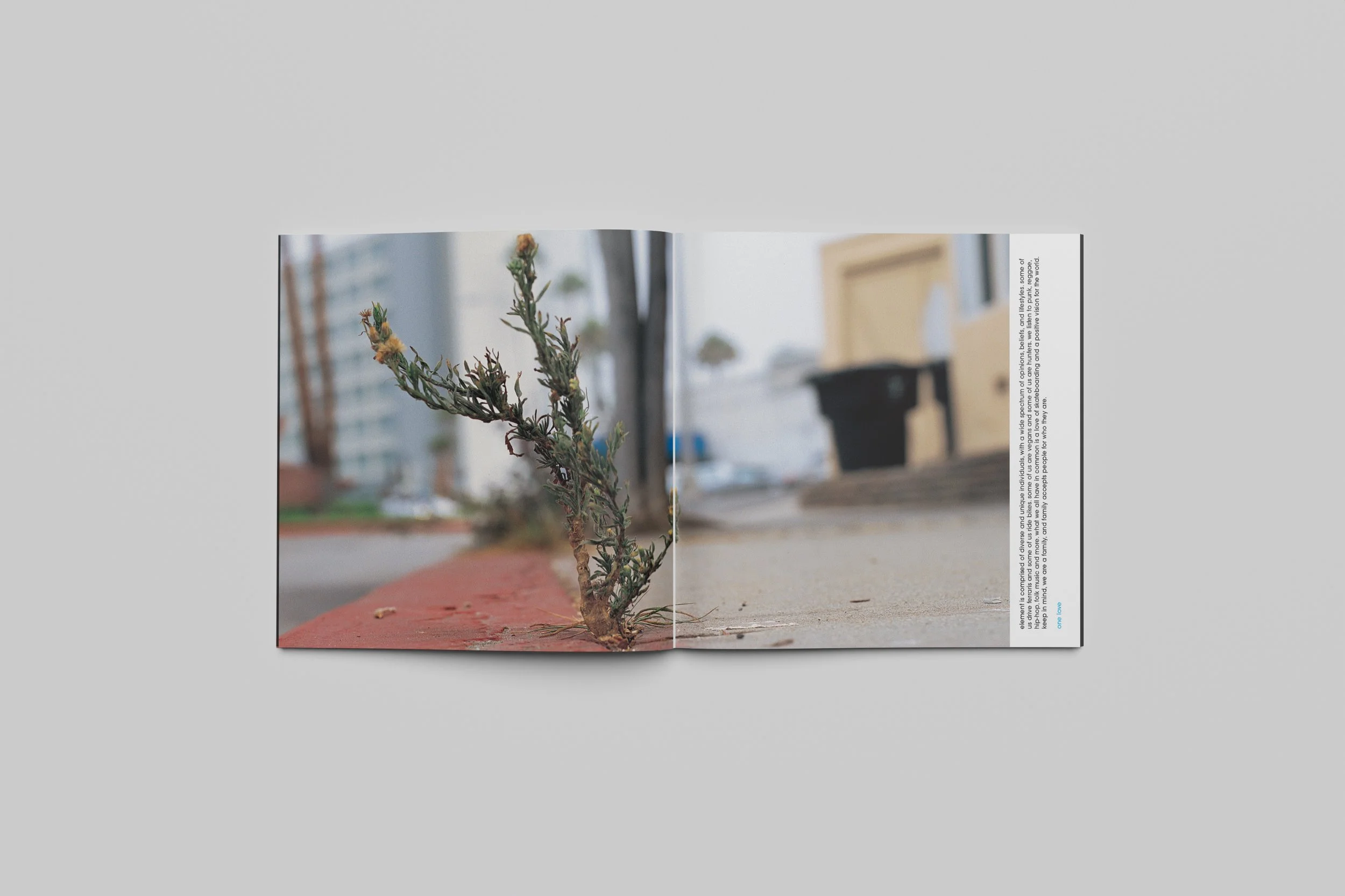 spread-08.JPG