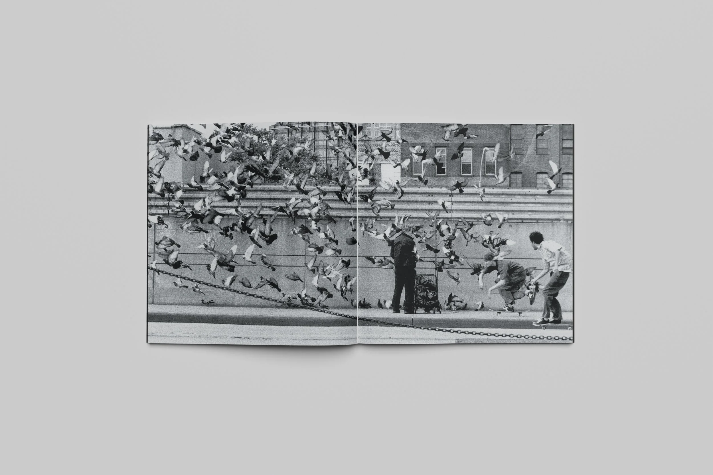 spread-20.JPG