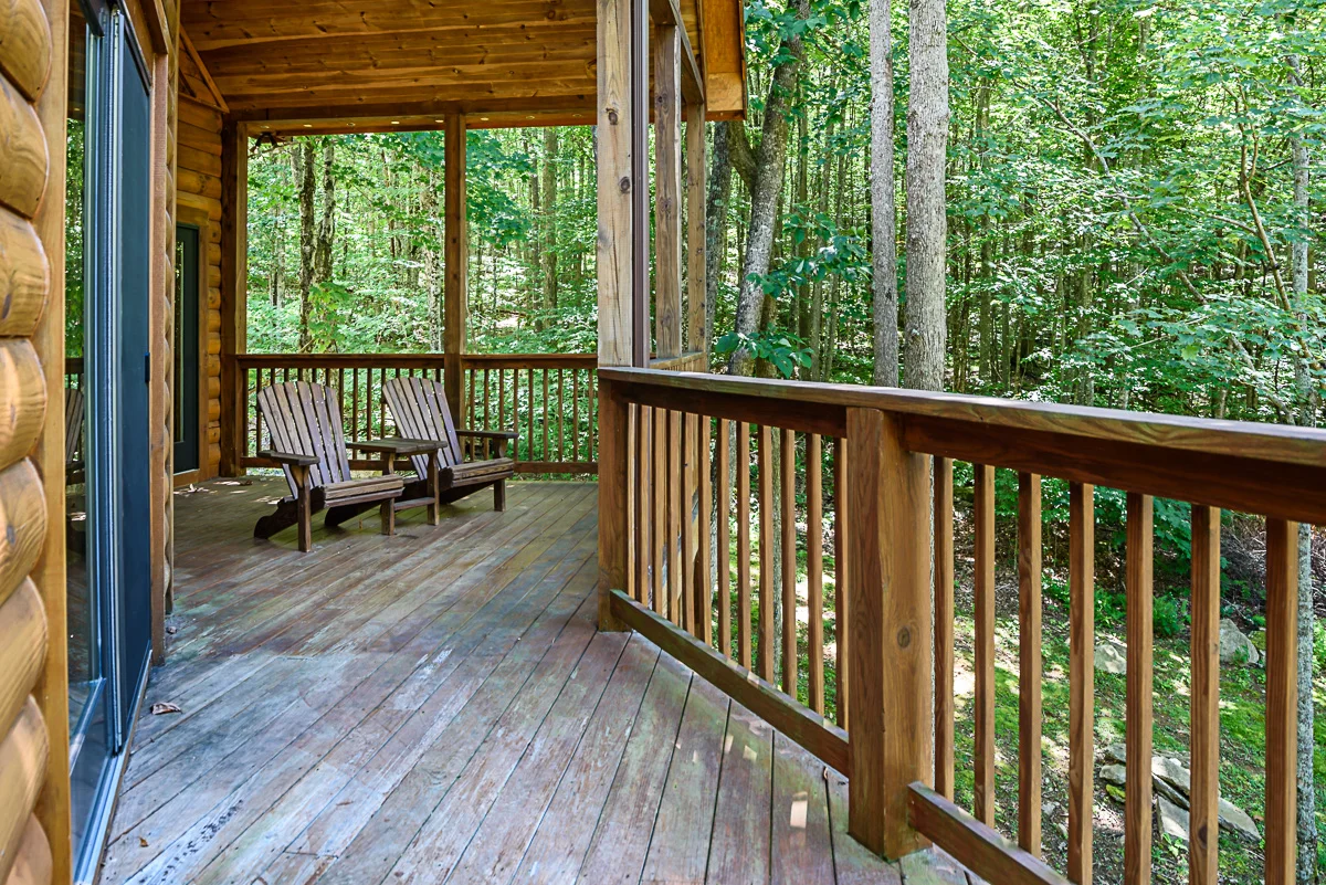 22 124 Aster Trail-7443.jpg