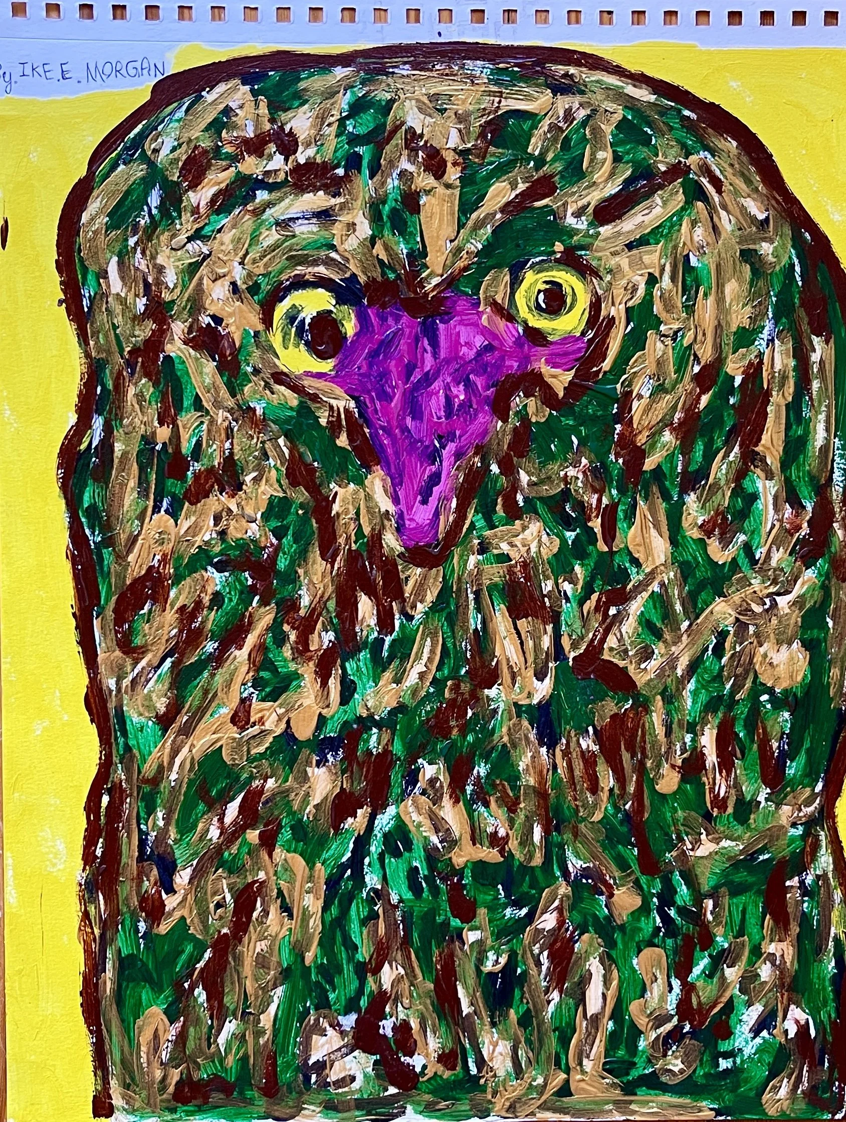 Owl