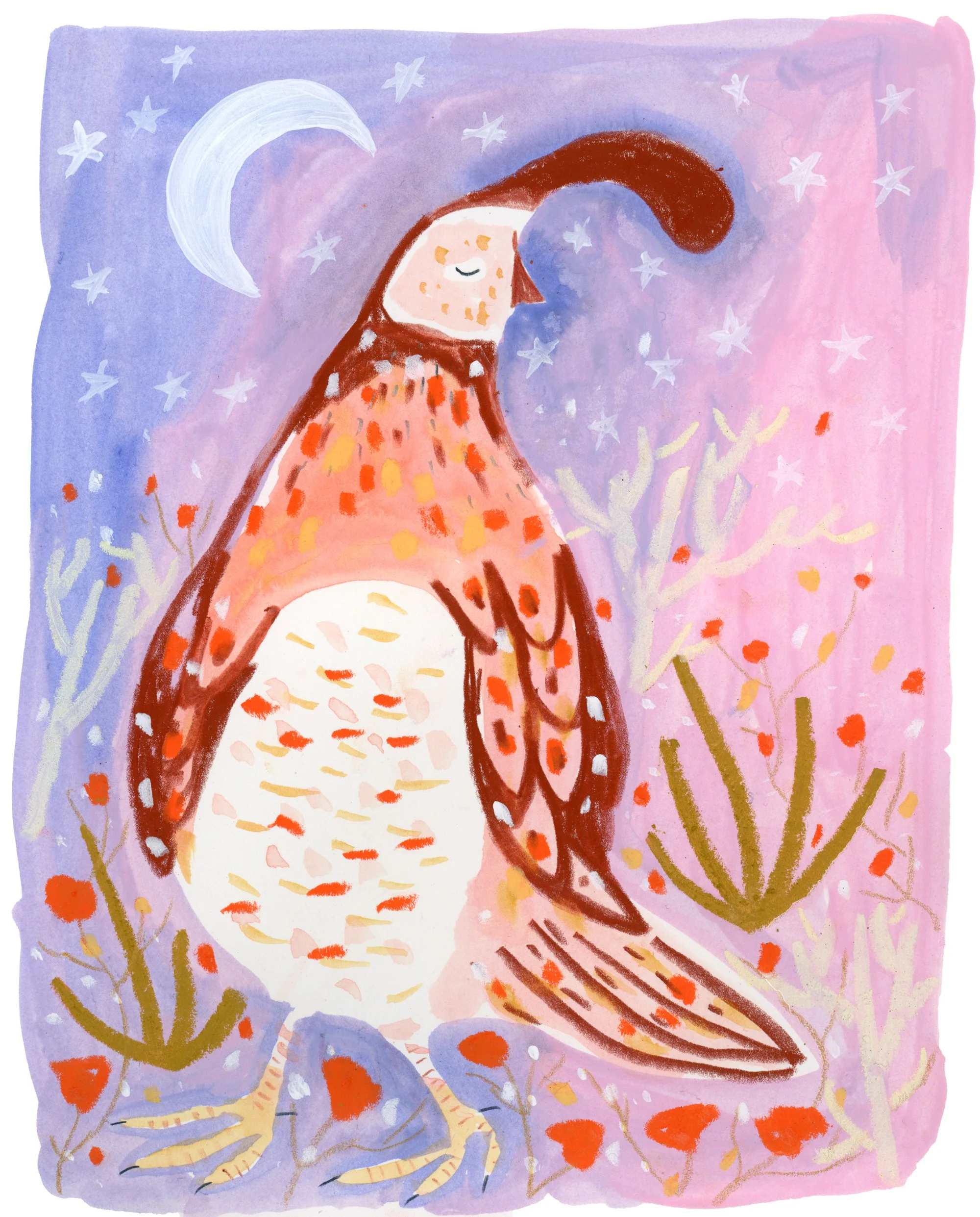 Evening Quail