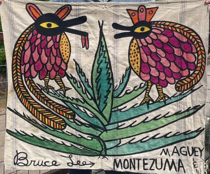 Maguey & Montezuma