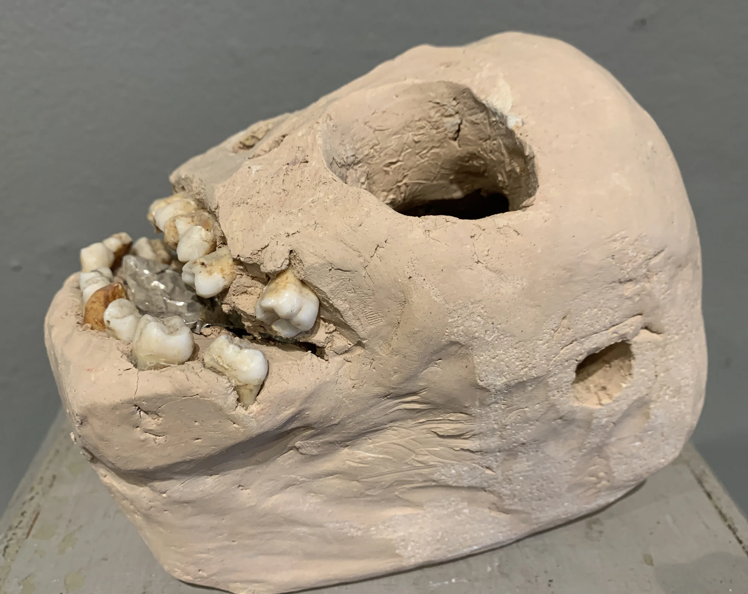 skull_side.jpg