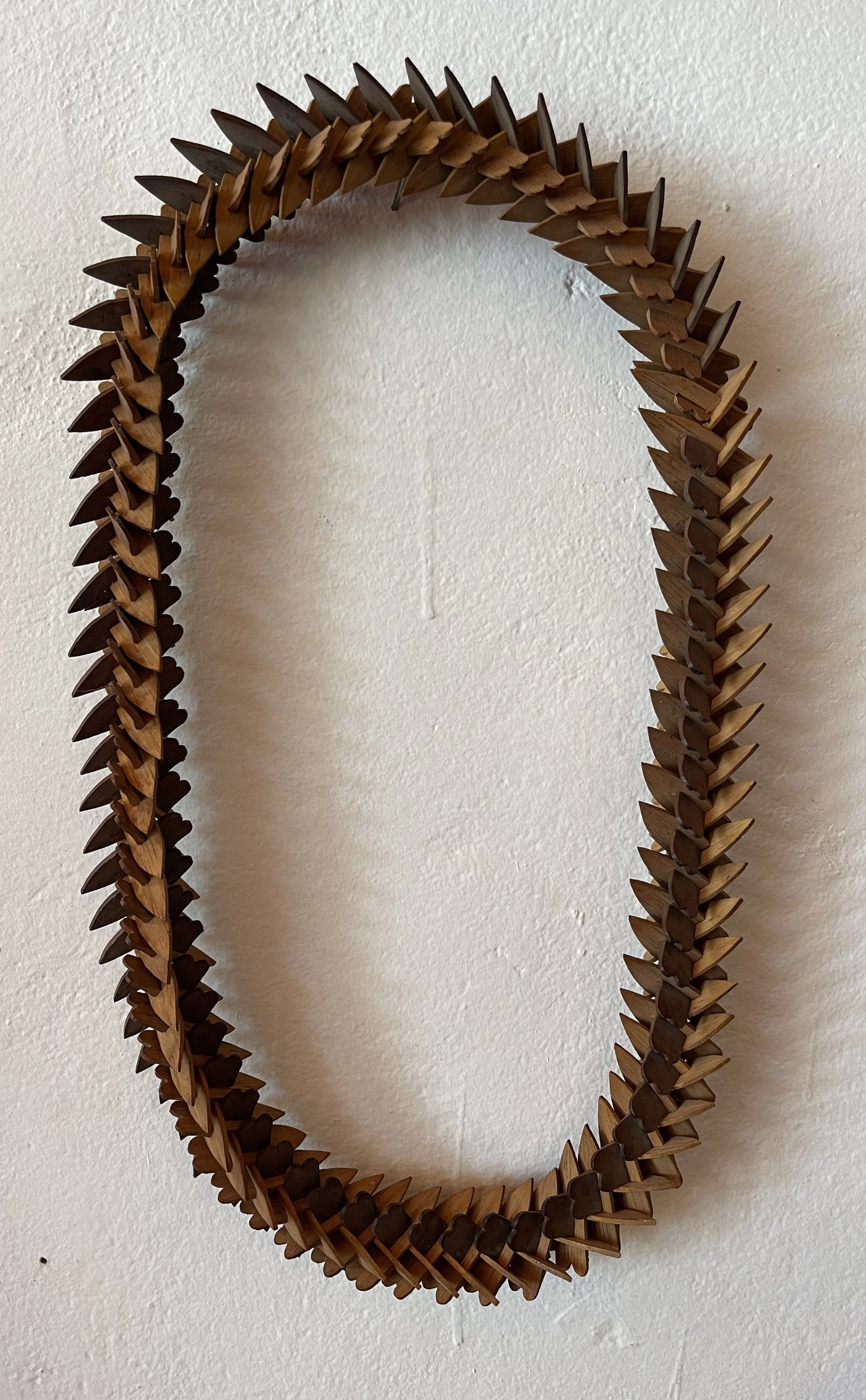 Crown of Thorns