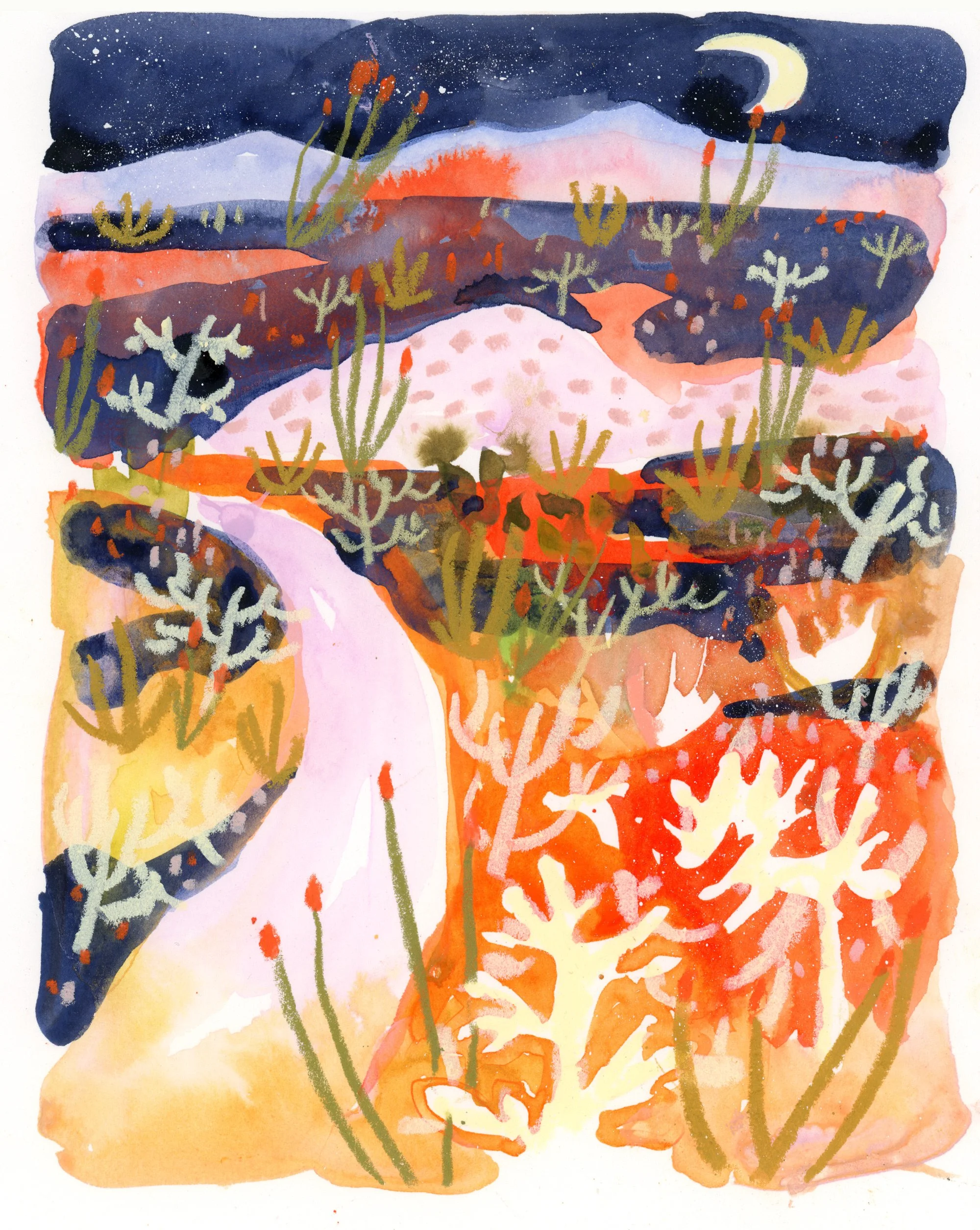Dancing Ocotillos