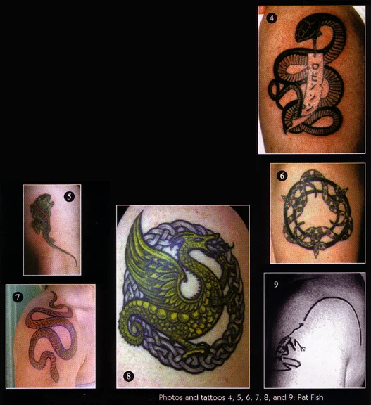 reptilia_2.jpg