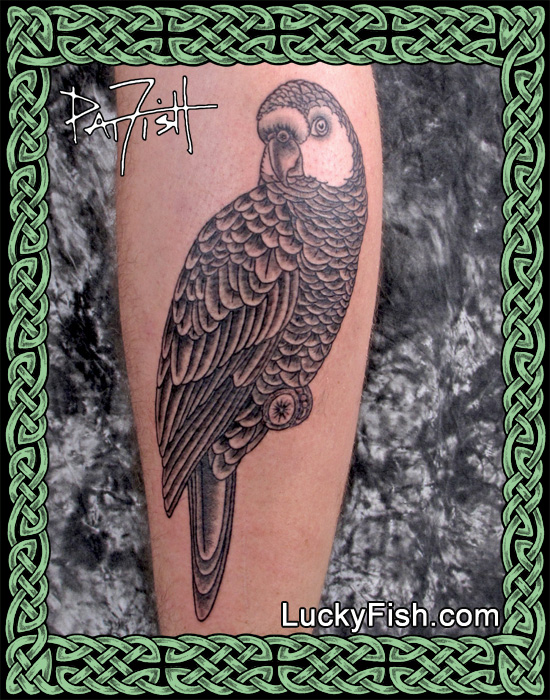 Parrot Tattoo by Pat Fish