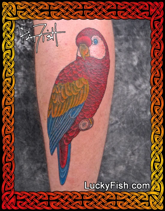 Paternal Parrot Tattoo by Pat Fish