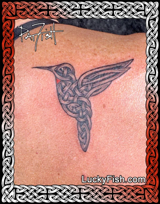 Celtic Knotwork Hummingbird Tattoo by Pat Fish