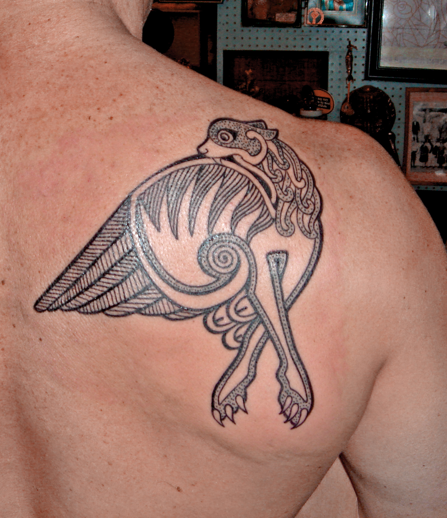 Pat Fishs Tattoo Blog  LuckyFish Inc and Tattoo Santa Barbara