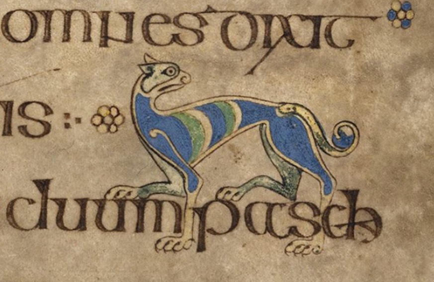 111r-cat.jpeg