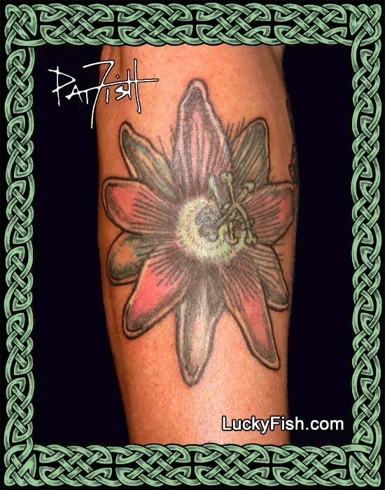 350-passiflora-framed2.jpg