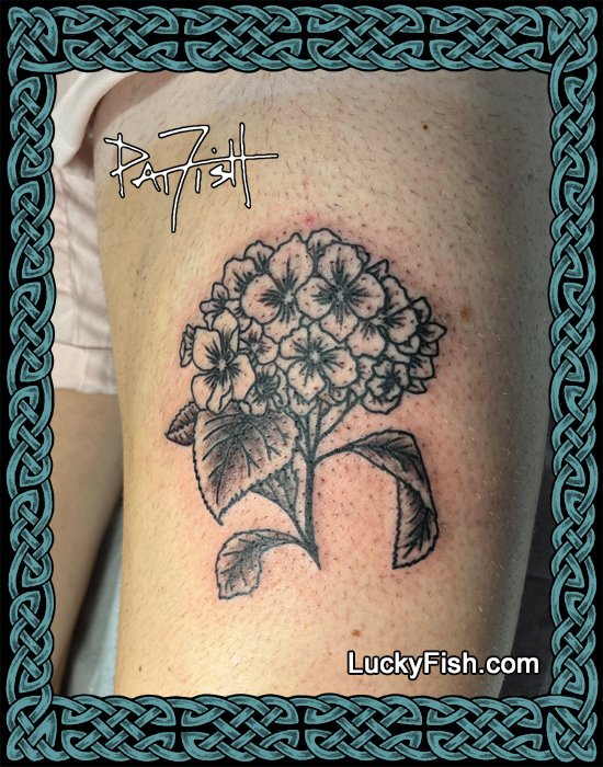 Daisy flower coloring pages, daisy flower bouquet tattoo, small daisy tattoo,  - MasterBundles
